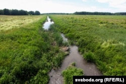 Ручай, які нясе брудныя воды ад ачышчальных збудаваньняў у Дзітву