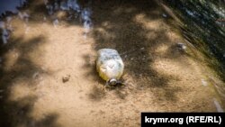 Грязное место. Как прибрежье Салгира превращается в свалку (фоторепортаж)