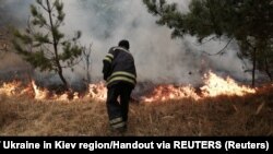 Пажары ў красавіку ў Чарнобыльскай зоне. Архіўнае фота