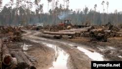 Незапаведныя краявіды Белавескай&nbsp;пушчы