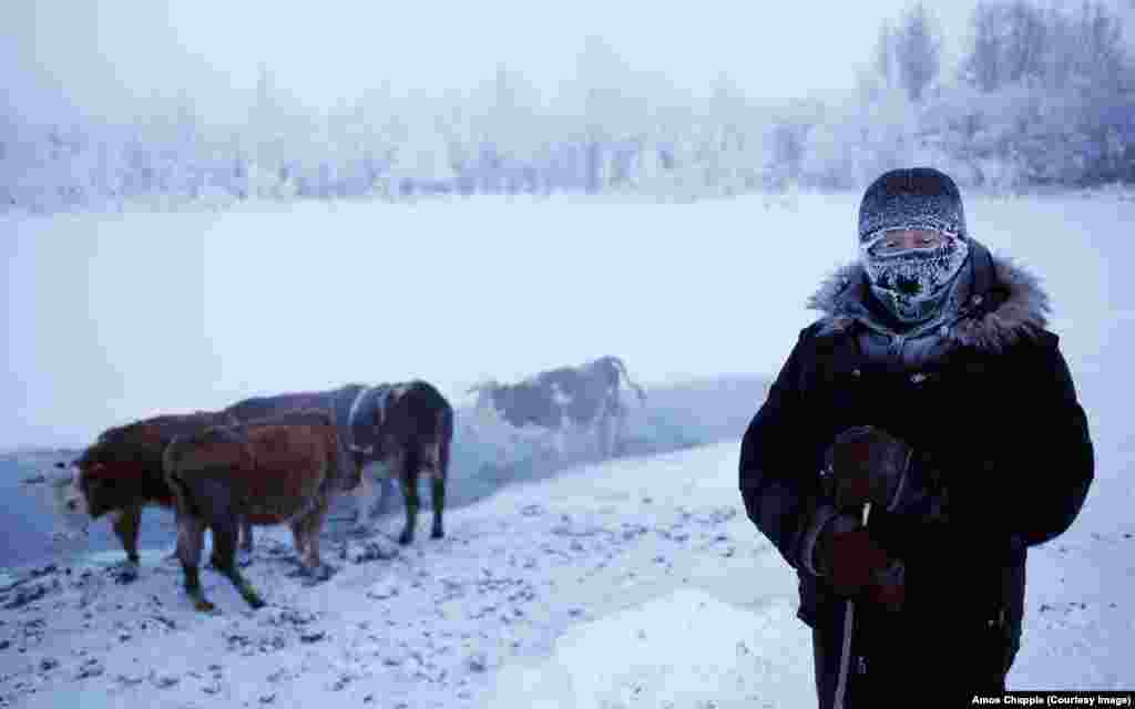 Аймякон у&nbsp;перакладзе зь якуцкай азначае &laquo;незамярзальная вада&raquo;. Да&nbsp;гэтага ручаю, што не&nbsp;замярзае ўзімку, сьцягваюцца алені і&nbsp;свойская жывёла