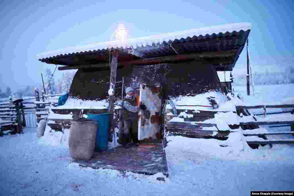 Кароваў узімку трымаюць у такіх уцепленых кароўніках