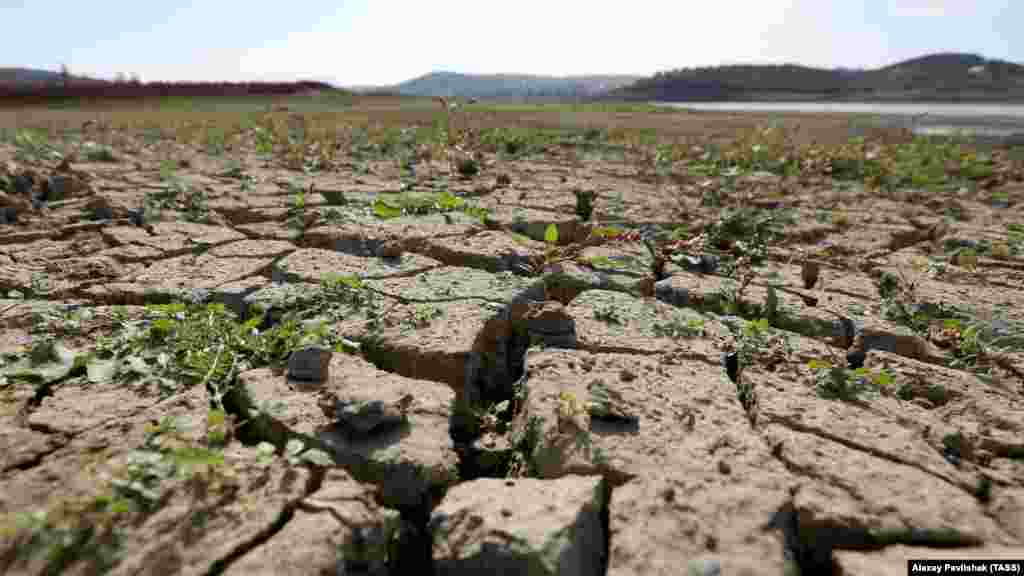 Обмелевшее из-за засухи Симферопольское водохранилище